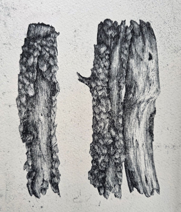 Dolores De Sade RE, Two Plus One