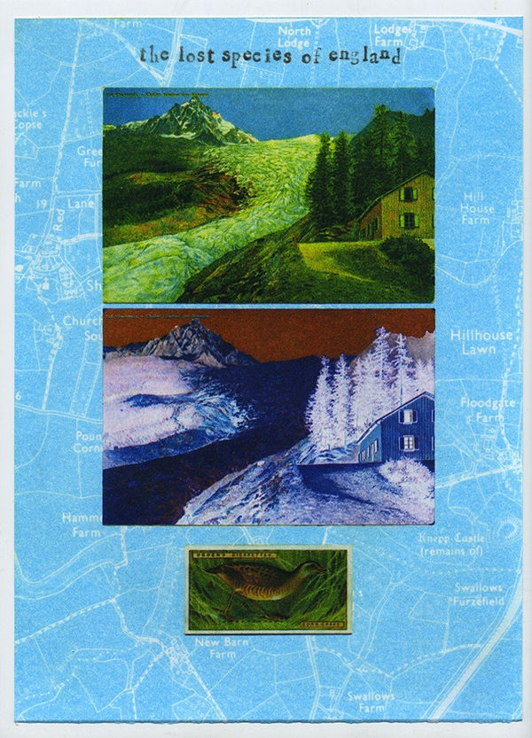 Ian Brown RE, News from the Critical Zone: corncrake 1990's