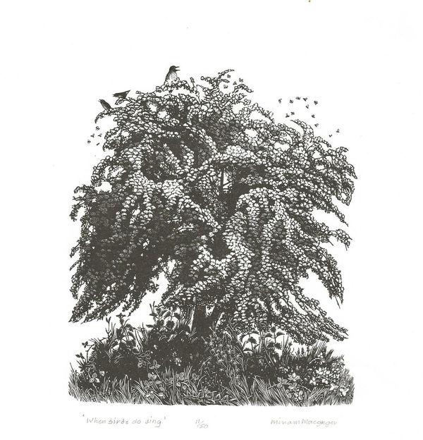 Miriam MacGregor RE, When Birds Do Sing
