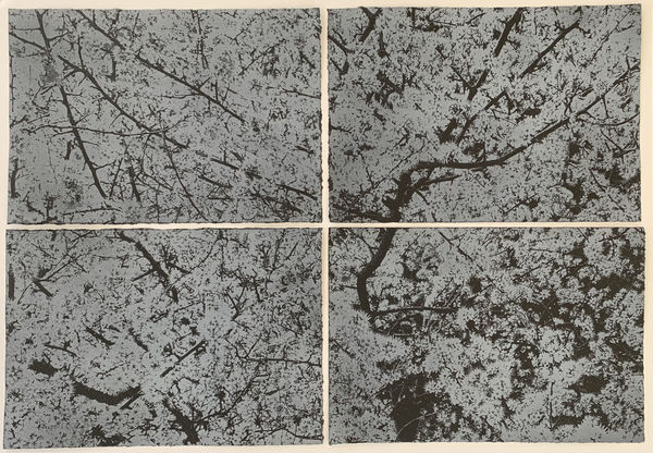 Wai Wong ARE, Positive Bloom