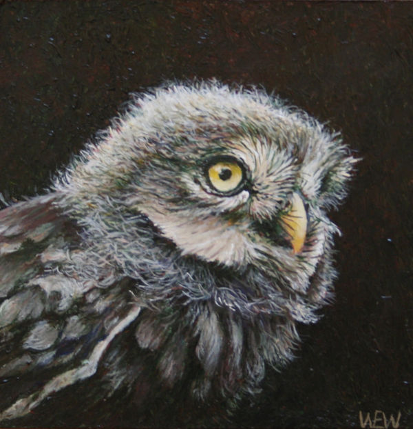 Wout Wachtmeester, "Boasie", 2025