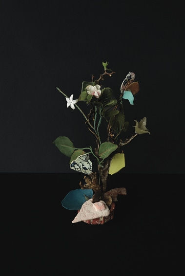 Thirza Schaap, japonais too, 2018