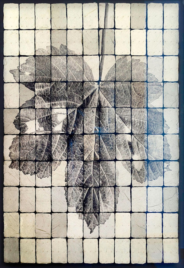 Joost Vandebrug, TDV, 2023