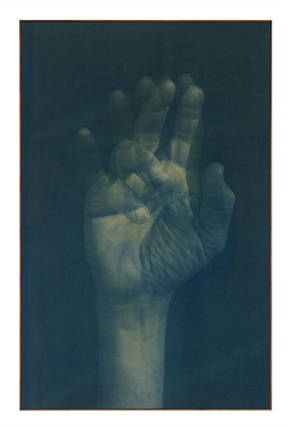 Adam Jeppesen, Work no. 158, from the series The Pond, 2025