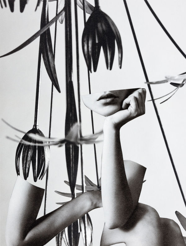 Miriam Tölke, Tulipan, 2019