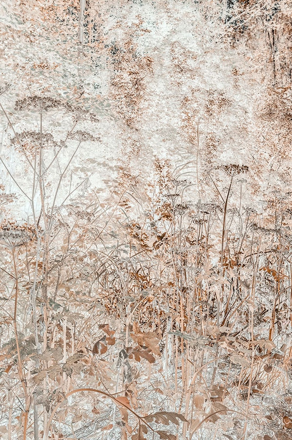 Danielle Kwaaitaal, Silverlining - Nickel , 2025