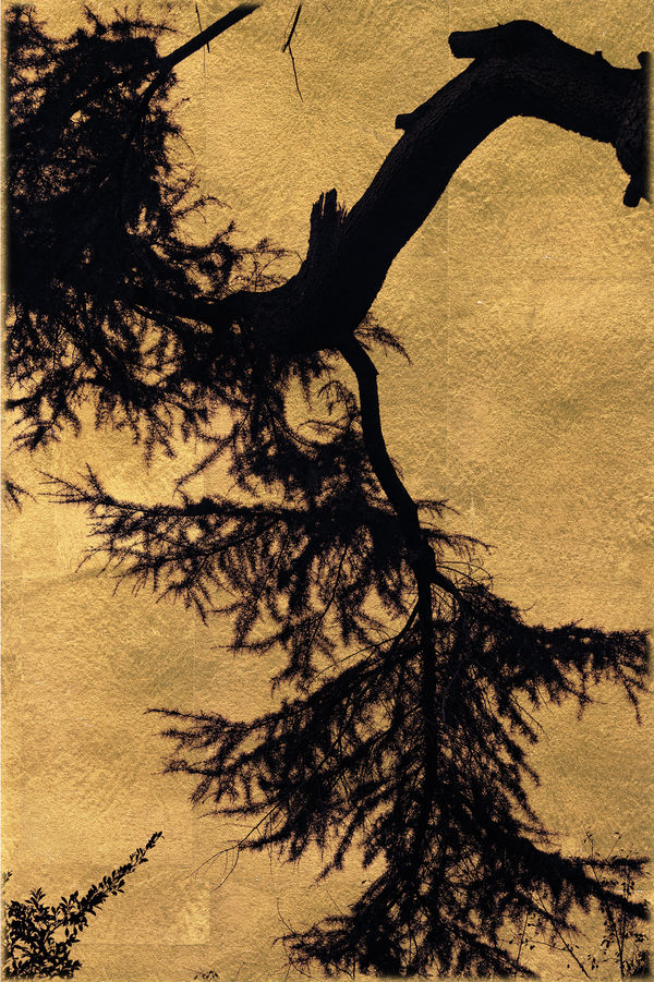 Albarrán Cabrera, Mouth of Krishna #942, 2026