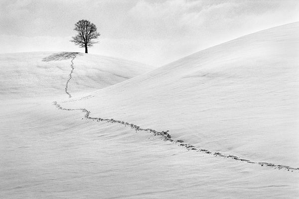 René Groebli, Traces in the snow/Spuren im Schnee (#657), Hirzel, Schweiz, Vintage, 1991