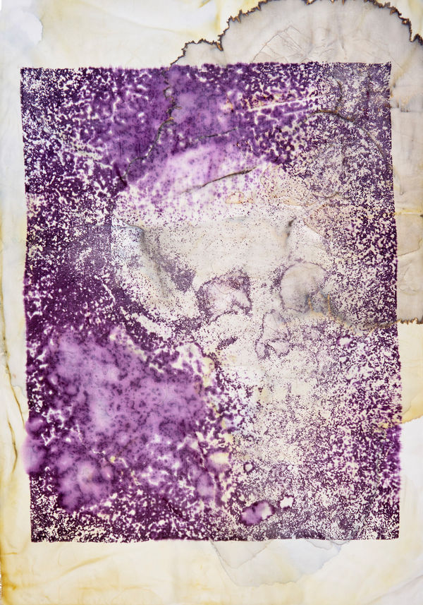 Douglas Mandry, Untitled (Vanity I), from the series Les Archives de la Planète, 2025