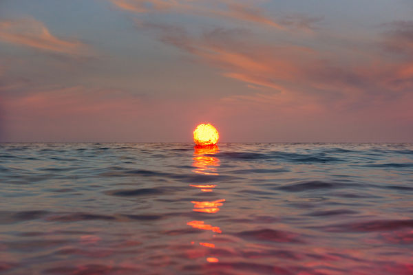 Inka & Niclas, Becoming Wilderness XXXI, 2015