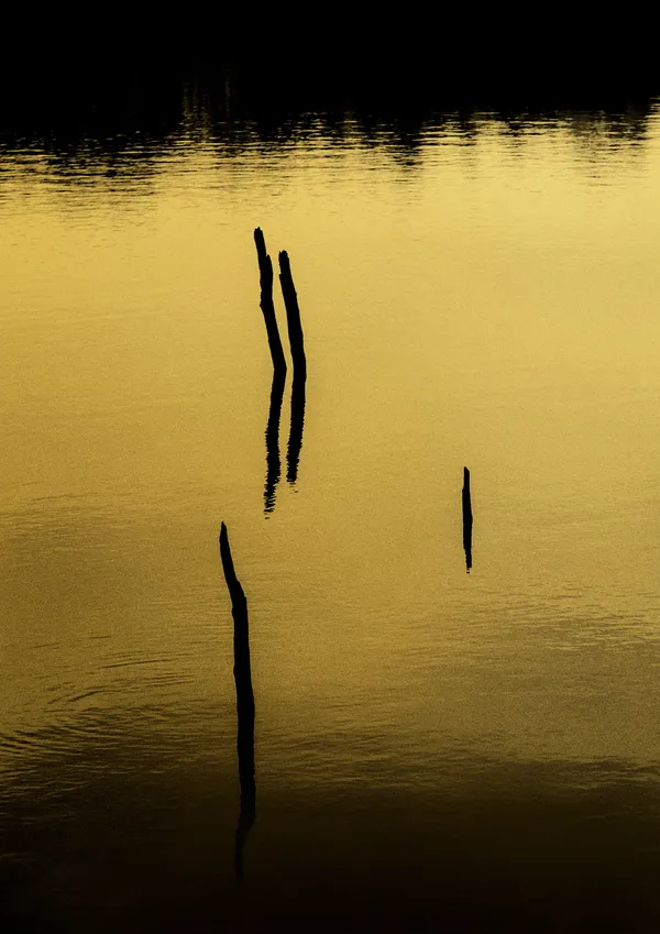 Paul Cupido, Homes II, 2026