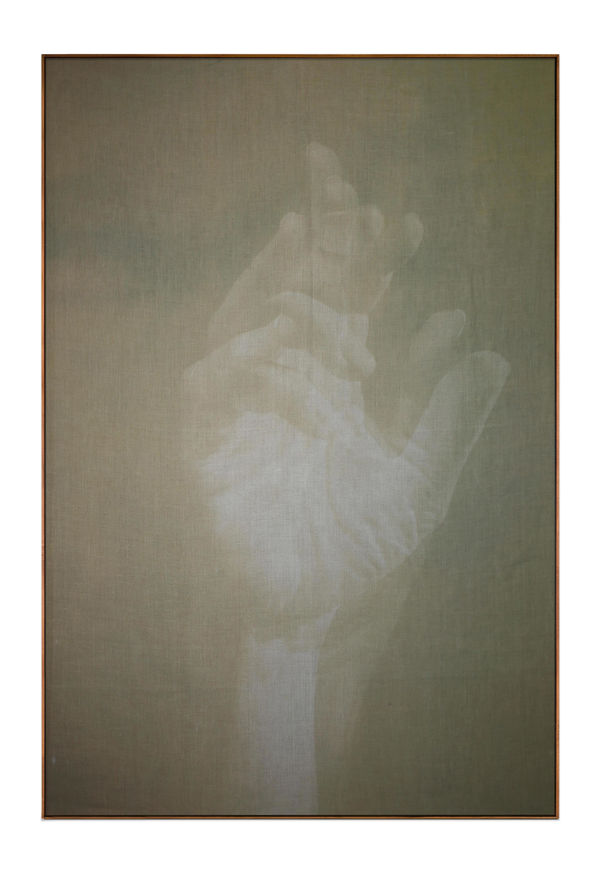 Adam Jeppesen, Work no. 164, from the series The Pond, 2025