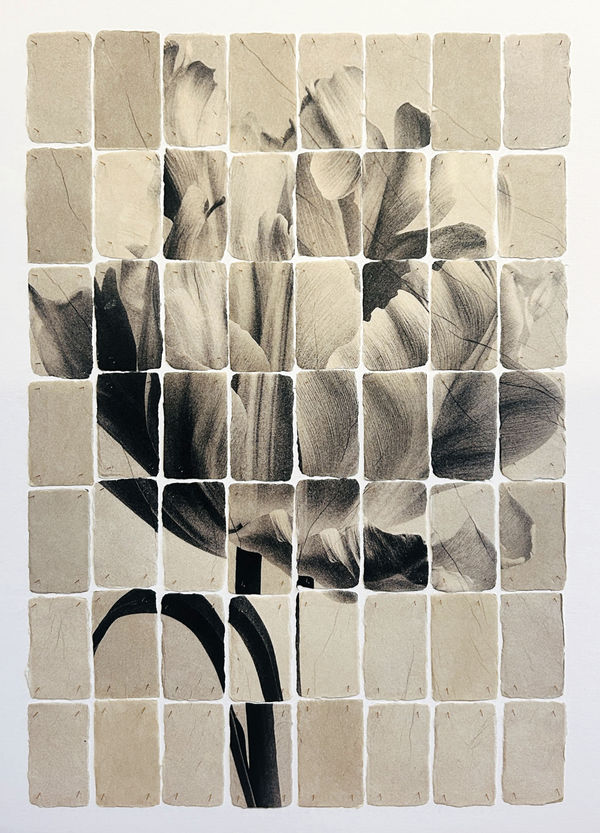 Joost Vandebrug, 26-19 tulip, 2026