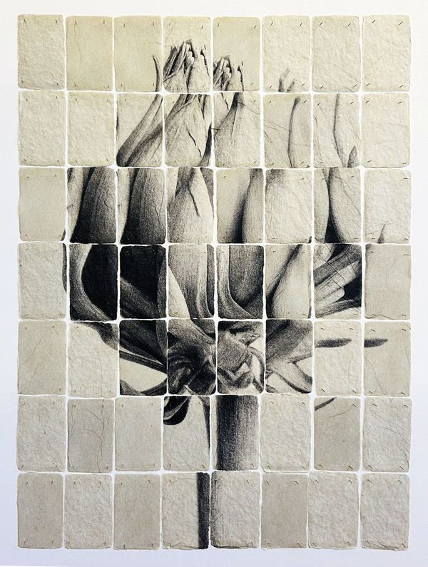 Joost Vandebrug, 26-02 (based on) artichoke, 2026