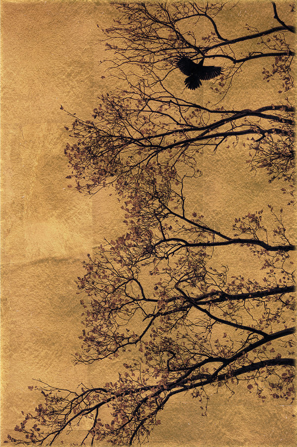 Albarrán Cabrera, Mouth of Krishna #957, 2026