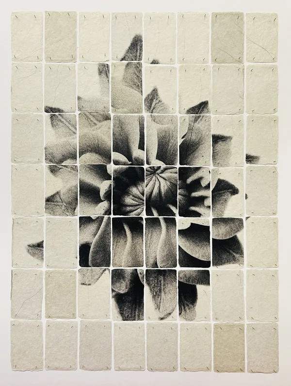 Joost Vandebrug, 26-03 dahlia, 2026