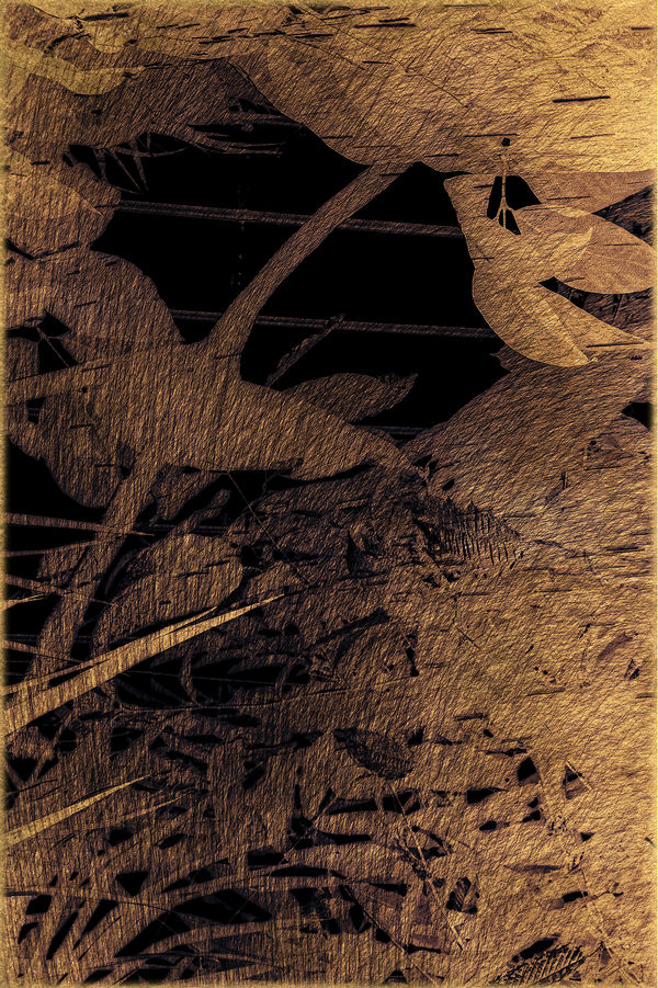 Albarrán Cabrera, The Mouth of Krishna #823, 2023