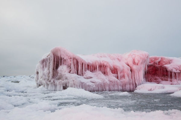 Inka & Niclas, SAGA XI, 2011