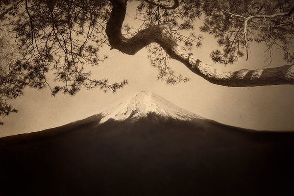 Paul Cupido, Mount Fuji #12, 2019