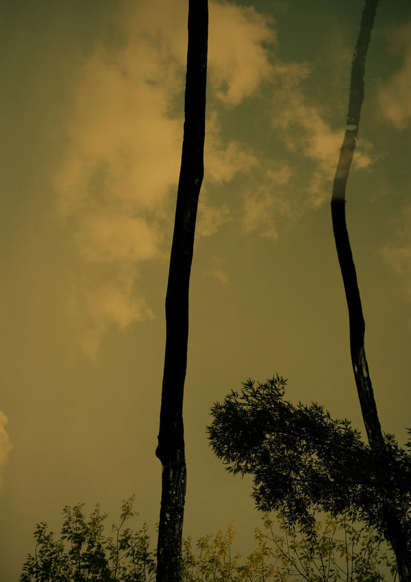 Paul Cupido, Mirage 10, 2022