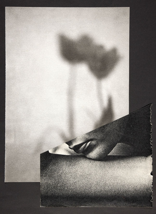 Miriam Tölke, Tulips, 2020