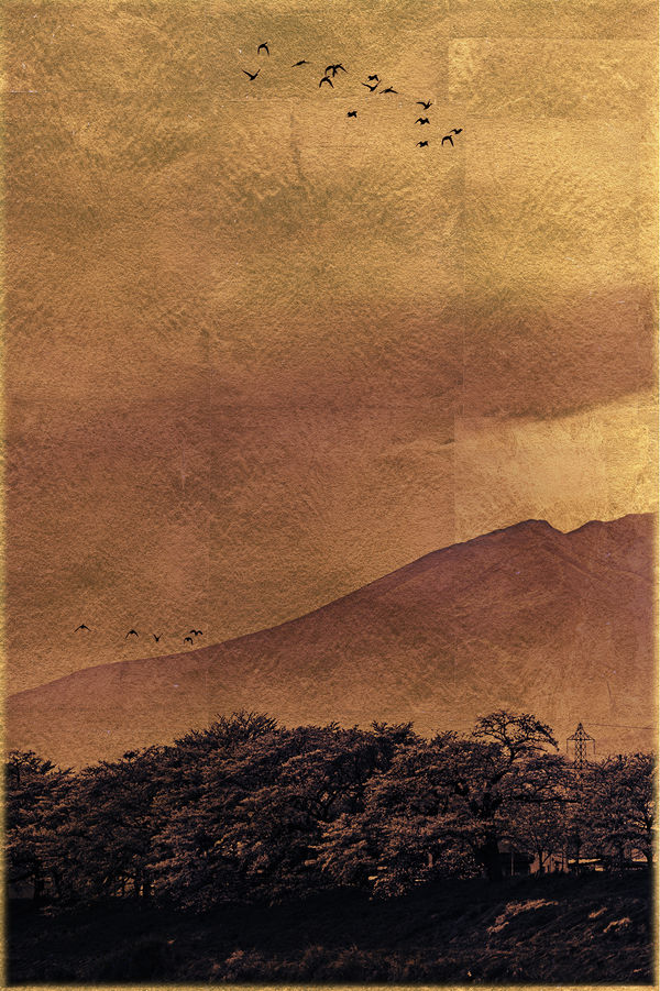 Albarrán Cabrera, The Mouth of Krishna #933, 2023