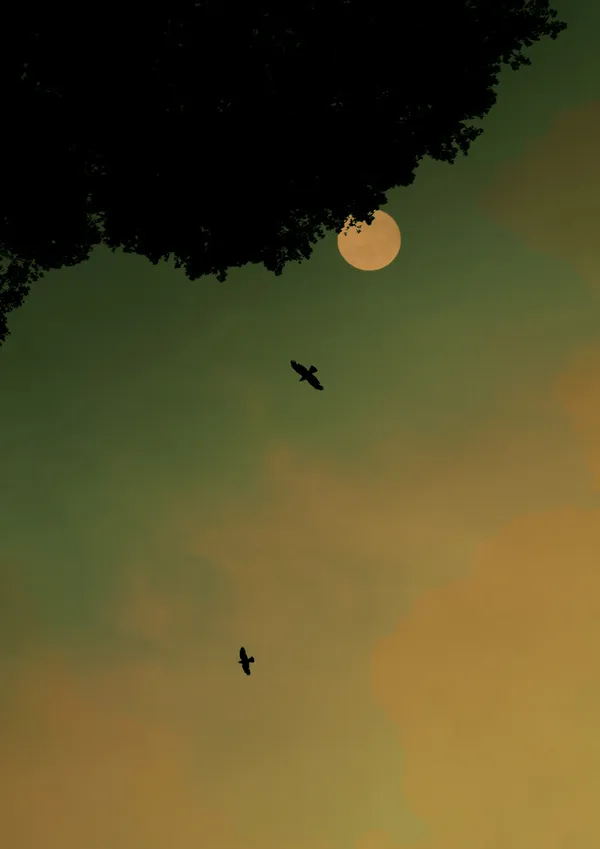 Paul Cupido, Dream I, 2022