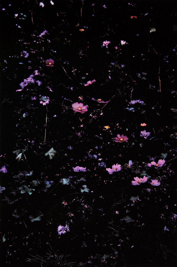 Aimée Hoving, Cosmos, 2023