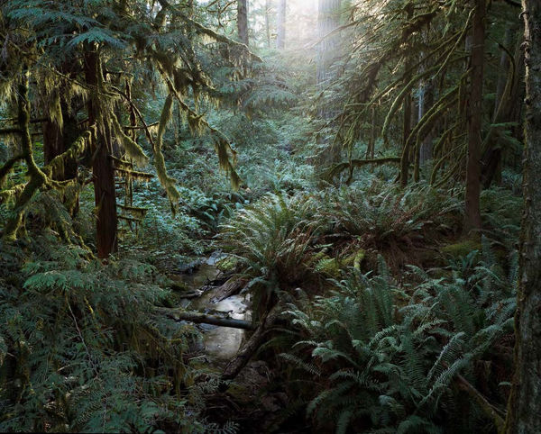 Bruno Augsburger, Sunshine Coast, British Columbia, 2013