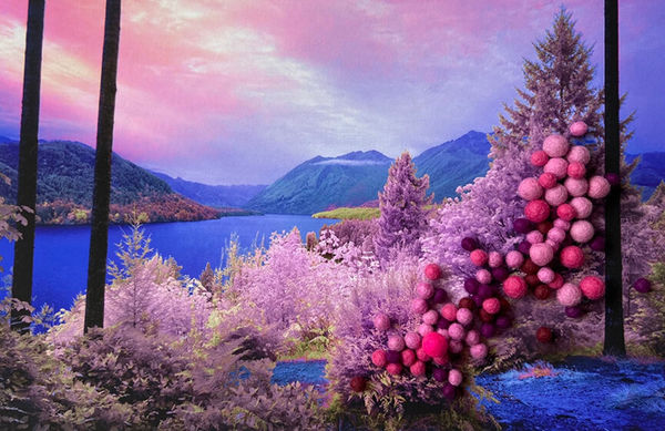 The Secret Life of Trees II / Image #04