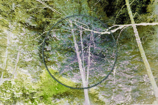 The Secret Life of Trees IV, No. 3