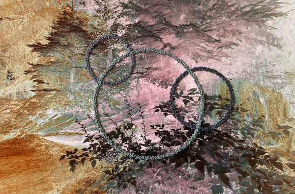 The Secret Life of Trees IV, No. 2