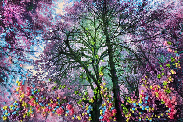 The Secret Life of Trees I, #3