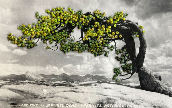 Black and White, Image #2