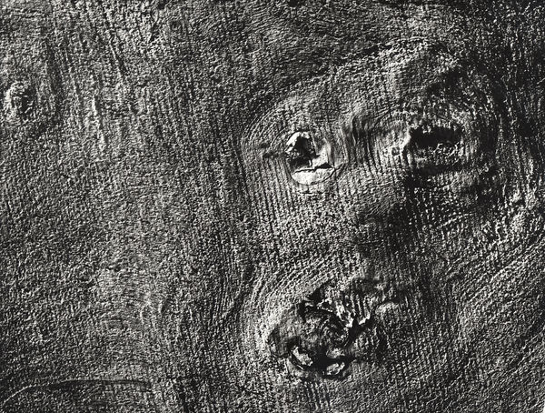 Motivo suggerito dal taglio dell’albero (Motif suggested by the cut of the tree)