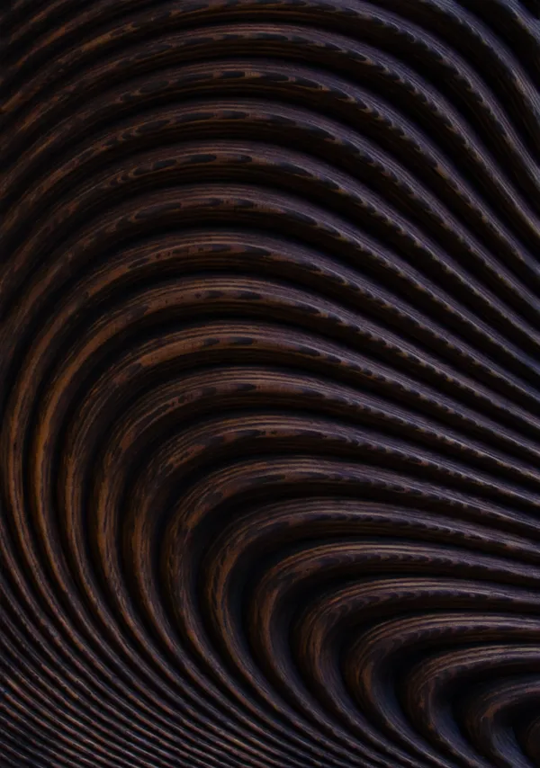 Arno Hoogland, Wave, 2025