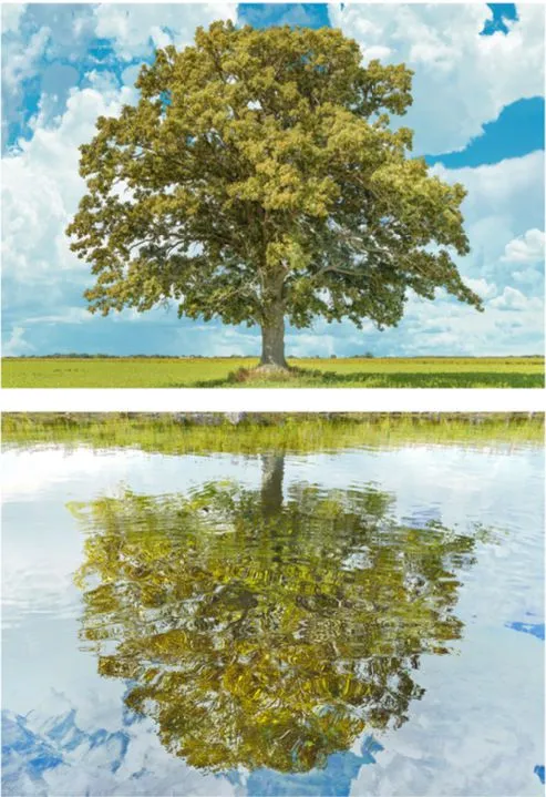 Nicolas Baier, Binaire, 2022