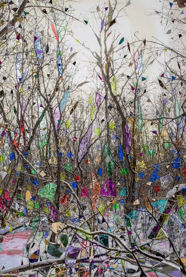 Sarah Anne Johnson, PPPW2, 2021