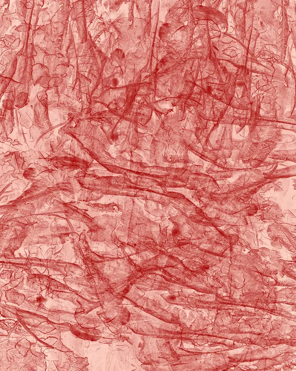 Pascal Grandmaison, Transparence rouge, 2021