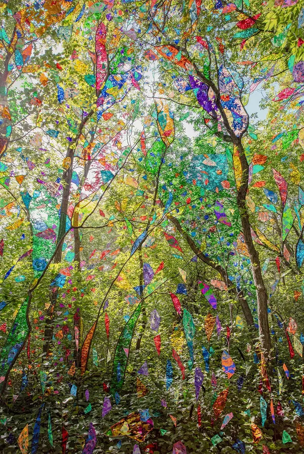 Sarah Anne Johnson, SRCTA, 2021