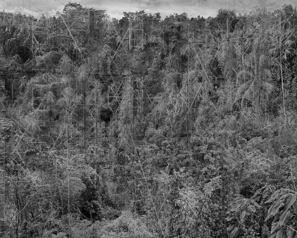 Nicolas Baier - Analogues, 2025