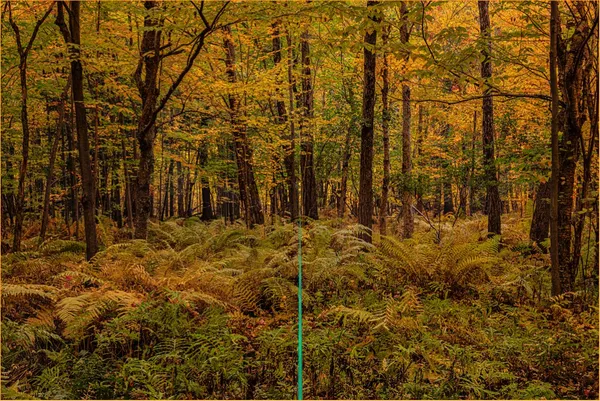 Nicolas Baier, Player One, 2022