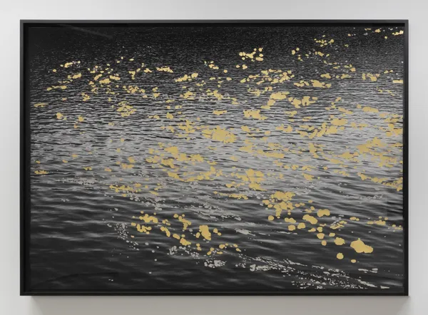 Geneviève Cadieux, Gold river (Variation 1), 2024