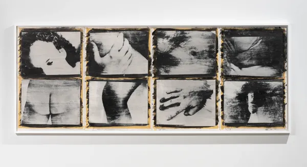 Geneviève Cadieux, Série nº1, 1977