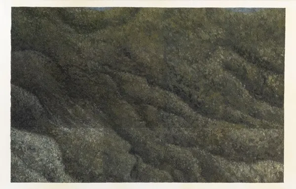 Nicolas Lachance, Détail (oxyde de chrome) 1, 2022