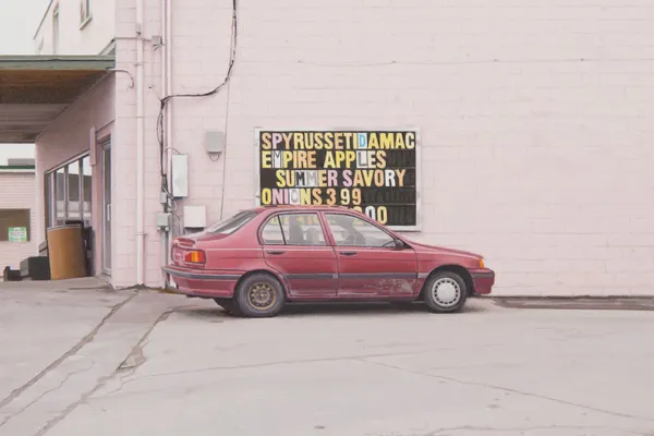 Mike Bayne, Apple Beater, 2022