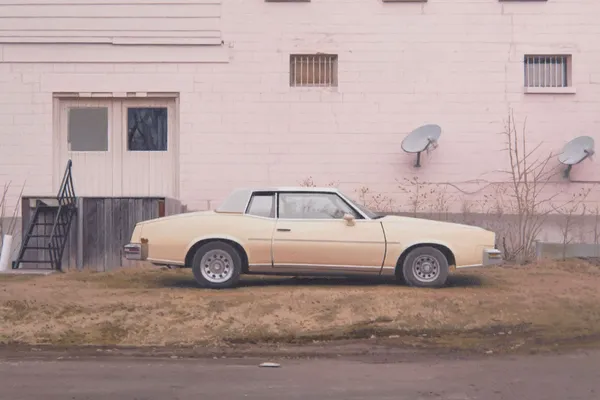 Mike Bayne, Gold Olds, 2022