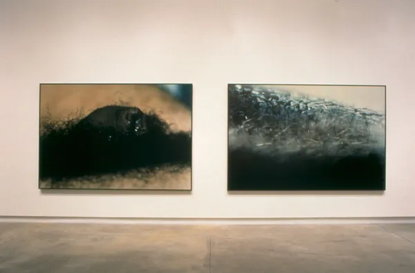 Geneviève Cadieux, Loin de moi, et près du lointain, 1993