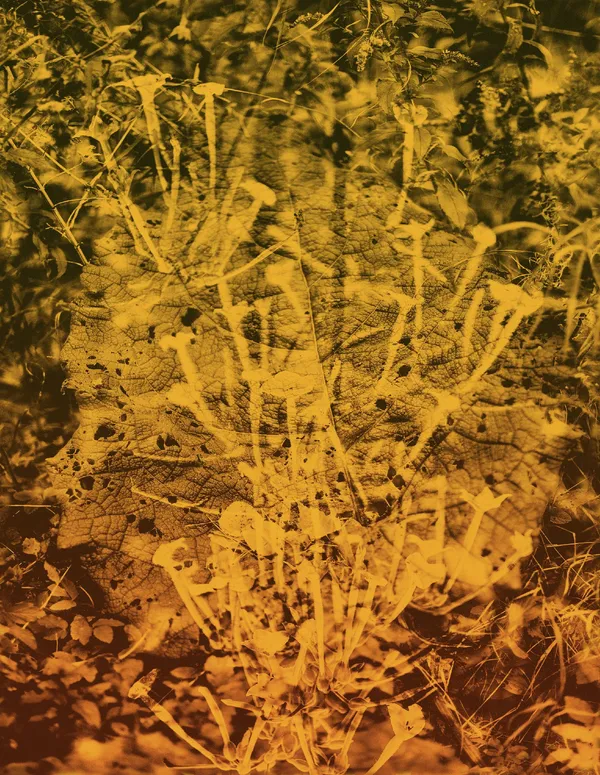 Pascal Grandmaison, Les champs magnétiques 02, 2024