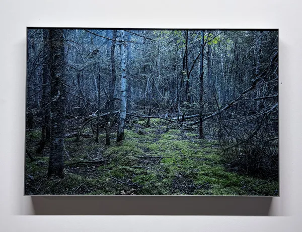 Nicolas Baier, Prototype 3, 2022